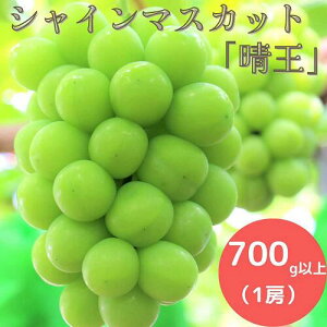 yӂ邳Ɣ[Łz RY Ԃǂ VC}XJbg 700gȏ (1[) 9{10{ _A5