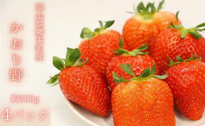 yӂ邳Ɣ[Łz R Y   1.2kg (300g×4pbN) 1{2{ _A35