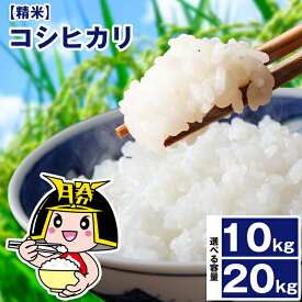 【ふるさと納税】 令和6年産 岡山県産 「 コシヒカリ 」米 選べる 10kg ～ 20kg 楽天限定 SF1-2 【岡山県勝央町】