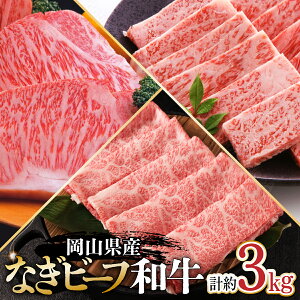 yӂ邳Ɣ[ŁzRYȂr[ta [XĂp1kg ēp1kg T[CXe[L 250g×4      J^[X јa Mtg v[g 蕨 Ⓚ