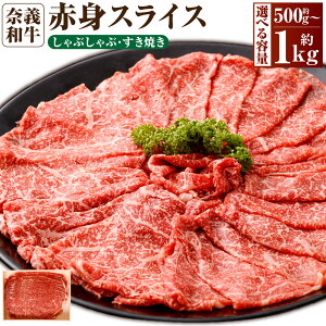 yӂ邳Ɣ[ŁzIׂeʁދ`a Ԑg ԂԁEĂp XCX 500g 1.0kgi500g×2pbNj   a Ȃr[t Ⓚ RY Y Y R ދ` 