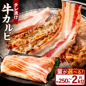 yӂ邳Ɣ[ŁzIׂeʁ ^Ђ Jr 250g 500g 1.0kg 1.5kg 2.0kg 1pbN`8pbN 1pbN250g       ^ t Jr Ă ē BBQ Ⓚ R 