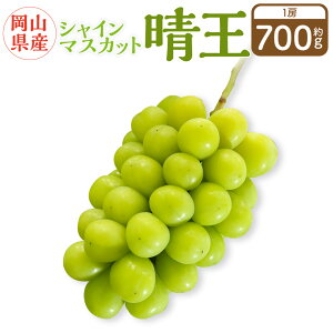 yӂ邳Ɣ[ŁzRY VC}XJbg wx 1[ i700gȏj ϔ y2025N8{`10{\z ʕ  t[c Ԃǂ uhE  }XJbg R 