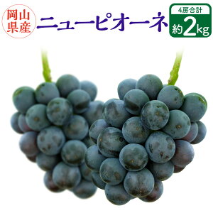 yӂ邳Ɣ[ŁzRY j[sI[l 4[i1[480gȏj y2025N8{`10{\z ʕ  t[c Ԃǂ uhE  R  Y ①  R