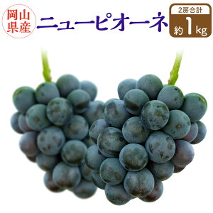 yӂ邳Ɣ[ŁzRY j[sI[l 2[ i1[480gȏj ϔ y2025N8{`10{\z ʕ  t[c Ԃǂ uhE  R  Y ① 