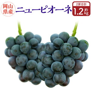 yӂ邳Ɣ[ŁzRY j[sI[l 2[i1[600gȏj ϔ y2025N8{`10{\z ʕ  t[c Ԃǂ uhE  R  Y ① 