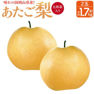 yӂ邳Ɣ[ŁzRY   2 1.7kg ϔ Ȃ  iV t[c ʕ ʎ Y R ދ`  y2025N11{`12{\z yVX[p[SALE 9J