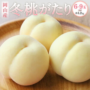 yӂ邳Ɣ[ŁzRY ~ 6`9 1.2kg ϔ  ʕ  t[c x  Y R ދ`  y2025N11{`12{\z