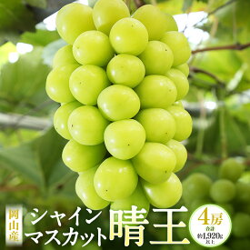 【ふるさと納税】岡山産 シャインマスカット 晴王 4房 （1房480g以上） マスカット ぶどう ブドウ 葡萄 果物 くだもの フルーツ 種なし 大粒 高糖度 冷蔵 お取り寄せ 国産 岡山県 奈義町 送料無料 【2026年8月下旬～10月下旬迄発送予定】