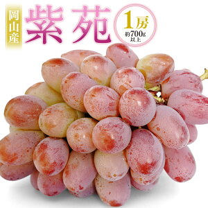 yӂ邳Ɣ[ŁzRY  1[i700gȏj ϔ Ԃǂ uhE  ʕ  t[c Ȃ x ①  Y R ދ`  y2025N10{`11{