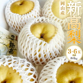 【ふるさと納税】岡山産 新高梨 3-6玉（約4kg） 化粧箱入り ナシ 梨 果物 くだもの フルーツ 大玉 お取り寄せ 国産 岡山県 奈義町 送料無料 【2026年9月下旬～11月上旬迄発送予定】