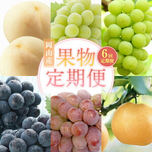 yӂ邳Ɣ[Łzy6ցzE}XJbgIuALThAEYԂǂEj[sI[l VC}XJbgEE   Ԃǂ  ʕ  t