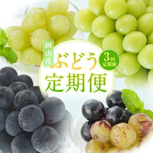 yӂ邳Ɣ[Łzy3ցz}XJbgIuALThAEj[sI[lEVC}XJbg  Ԃǂ }XJbg sI[l VC}XJbg uhE  ʕ 