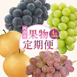 yӂ邳Ɣ[Łzy4ցzj[sI[lEEE  Ԃǂ  VC}XJbg sI[l uhE  ʕ  t[c ① Y R ދ` 