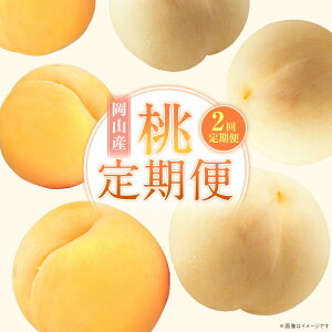 yӂ邳Ɣ[Łzy2ցz   e6ʁi1.6kgȏj ϔ  ʕ  t[c ① Y R ދ`  y2026N7{菇Jnz