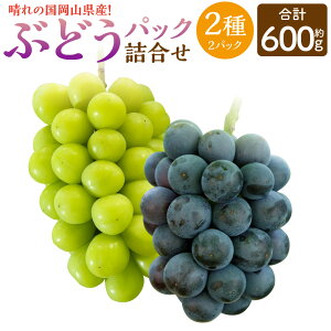 yӂ邳Ɣ[ŁzRY Ԃǂ pbN l 22pbNZbg v600g y2025N9{`10{\z R VC}XJbg j[sI[l ʕ  t[c uhE 