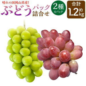 yӂ邳Ɣ[ŁzRY Ԃǂ pbN l 2 4pbN Zbg 1.2kg VC }XJbg  Ԃǂ C lߍ킹 uhE  t[c ʕ ʎ Y R ދ` 