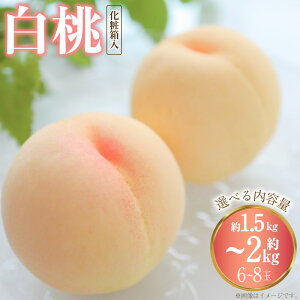 yӂ邳Ɣ[ŁzyIׂeʁz 6 8 ϔ 5 ؔ 1.5kg`2kgȏ FC y2026N7{`8{\z    ʕ  t[c ① Y 