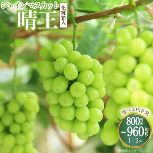 yӂ邳Ɣ[ŁzyIׂeʁzVC}XJbg  2[i1[480gȏj 1[i800gȏj v800g`960gȏ ϔ y2025N8{`11{\z Ԃǂ }XJbg Ȃ 