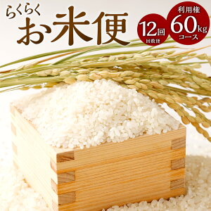 yӂ邳Ɣ[Łz炭炭ĕ 60kgR[X p   R    Iׂ ͂  Ђ̂Ђ 60kg R ދ`  yVX[p[SALE 9J
