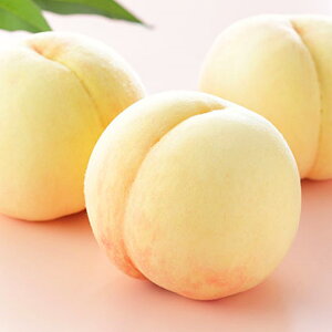 �y�ӂ邳�Ɣ[�Łz�y�I�ׂ�e�ʁz���R ���� ���C���� 3�`16�� �v��600g�`4kg ���R���Y �y2026�N7����{�`8�����{�������\��z �t���[�c �ʕ� �������� ���� �� ���� �① ���Y �����i ���蕨 �M�t