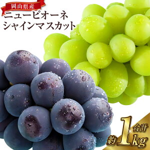 yӂ邳Ɣ[ŁzRY VC}XJbg j[sI[l e500g×1[ v2[ 1kg }XJbg Ԃǂ  VC}XJbg t[c ʕ ʎ Ȃ Y ① R ދ`