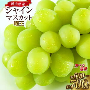 yӂ邳Ɣ[ŁzqIׂeʁr RY VC}XJbg  1[ 700g ܂ 600g Ԃǂ uhE  t[c ʕ  ʎ Ȃ 햳 Y ① R ދ` 