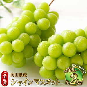yӂ邳Ɣ[ŁzyIׂeʁzyƒpz RY VC}XJbg  600g`2kg }XJbg Ԃǂ  ʕ t[c Ȃ 嗱 x ①  Y R ދ`