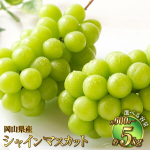 yӂ邳Ɣ[ŁzyIׂeʁzRY VC}XJbg  600g`5kg }XJbg Ԃǂ uhE  ʕ  t[c Ȃ 嗱 x ①  Y R 