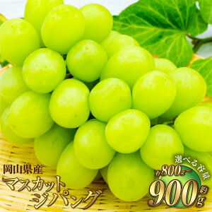 yӂ邳Ɣ[ŁzyIׂeʁzRY }XJbgWpO 800g ܂ 900g }XJbg Ԃǂ uhE  햳 Ȃ ʕ  t[c  ①  R 