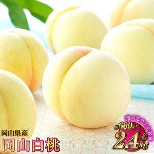 yӂ邳Ɣ[ŁzyIׂiƗeʁzR C ܂ G[X 600g`2.4kg     ʕ  t[c  蕨 Mtg ①  R ދ` 