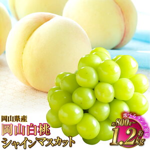 yӂ邳Ɣ[ŁzyIׂiƗeʁzRY RiC܂̓G[Xj {VC}XJbg 2 lߍ킹 v800g`1.2kg    }XJbg ʕ  t