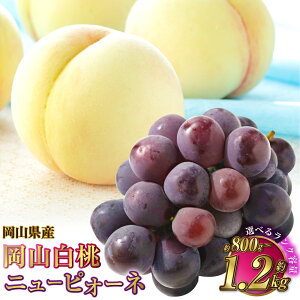 yӂ邳Ɣ[ŁzyIׂiƗeʁzRY RiC܂̓G[Xj {j[sI[l 2 lߍ킹 v800g`1.2kg    sI[l  Ԃǂ ʕ  t