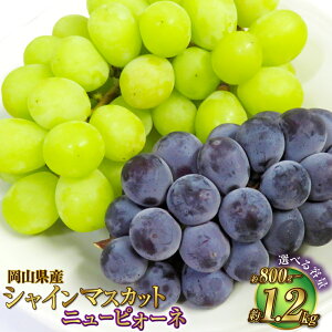 yӂ邳Ɣ[ŁzyIׂeʁzRY VC}XJbg  j[sI[l l v800g`1.2kg  sI[l Ԃǂ uhE }XJbg ʕ  t[c lߍ킹 