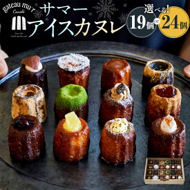 【ふるさと納税】【選べる容量】ガトーミュール サマー アイスカヌレ 19個入 24個入 【2026年5月下旬～8月上旬迄発送予定】 スイーツ お菓子 おやつ ミニ カヌレ 洋菓子 ギフト お取り寄せ 詰合 詰め合わせ プレゼント 冷凍 岡山県 奈義町 送料無料