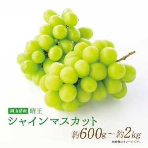 yӂ邳Ɣ[ŁzsIׂeʁtyRYz VC}XJbg 600g`2kg 8000~ ` 18000~ 8000~ ` 18000~ Ԃǂ uhE   ʕ Ȃt[c }XJbg ① 