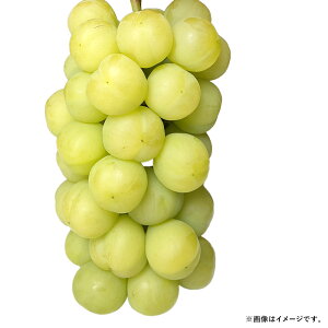 yӂ邳Ɣ[Łz2026N s\ ˃WCAc 3[ v2kgȏ Ԃǂ uhE  t[c  ʕ ʎ Mtg ͖{_ ① RY Y R ދ`  y2026N9