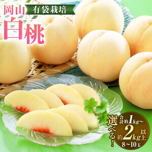 yӂ邳Ɣ[ŁzIׂeʁR 4`5ʁiv1.0kgȏjE8`10ʁiv2.0kgȏj     ʕ ʎ t[c L܍͔| ϔ Mtg  ① RY Y 