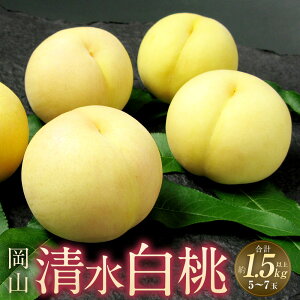 yӂ邳Ɣ[ŁzR  5`7ʁiv1.5kgȏj     ʕ ʎ t[c L܍͔| ① RY Y R ދ`  y2026N7{`7{ \z