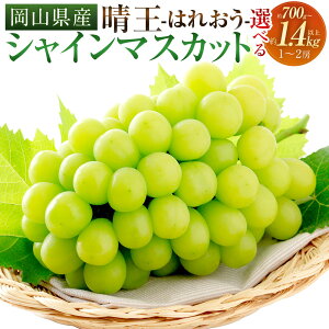 yӂ邳Ɣ[ŁzVC}XJbg  1[i700gȏj Ԃǂ uhE   ʕ ʎ t[c x 嗱 Ȃ 炲 ql Nz ① RY Y R ދ` 