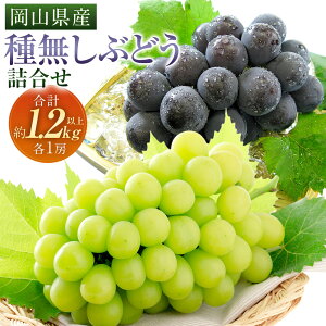 yӂ邳Ɣ[Łz햳 Ԃǂ lߍ킹 2[iv1.2kgȏj e1[ VC}XJbgEj[sI[l Zbg uhE   ʕ ʎ t[c 嗱 Ȃ ① RY 