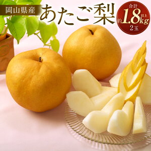 yӂ邳Ɣ[Łz 2026N s\  2 v1.8kgȏ ԗ Ȃ iV  ʕ ʎ t[c R ① RY Y R ދ`  y2026N11{`12{ 