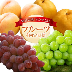 yӂ邳Ɣ[Łzy4ցzt[c 2026N s\ RZNg ̍܂ʕ{Ȏ4ɕĂ͂I R }XJbg    Ԃǂ  