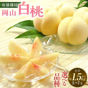 yӂ邳Ɣ[ŁzIׂi큄 2026N s\ R P^[┒Eܖ^ 5`7ʁiv1.5kgȏj    ʕ ʎ t[c R Mtg  