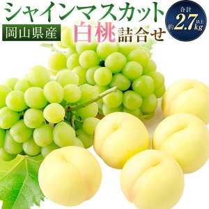 yӂ邳Ɣ[Łz Ԃǂ 2026N s\ Ri5ʁjEVC}XJbgi2[j lߍ킹 Zbg v2.7kgȏ    ʕ ʎ t[c R Mtg  ① 