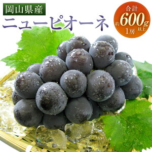 yӂ邳Ɣ[ŁzԂǂ 2026N s\ j[sI[l 1[ 600gȏ uhE   ʕ ʎ t[c R Mtg  ① RY Y R ދ`  y2026N8