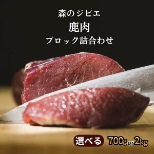 yӂ邳Ɣ[ŁzX̃WrG  ubN ܂l@700g or 2kg@A-JJ-J15A