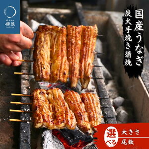 yӂ邳Ɣ[ŁzF YȂ YΊ Iׂ e  A-AA-J13A