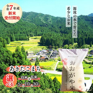 yӂ邳Ɣ[Łz2025N10{ȍ~͂R7NY@VĎtJn@  ܂@R@q@āEāE5kgE10kgE30kg G-bl-AEFA