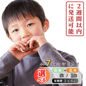 yӂ邳Ɣ[Łzsߘa7NY2TԈȓɔtߘa7NY RVqJ Iׂ 3 6 12   5kg 10kg R 킭猹 K-al-JECA